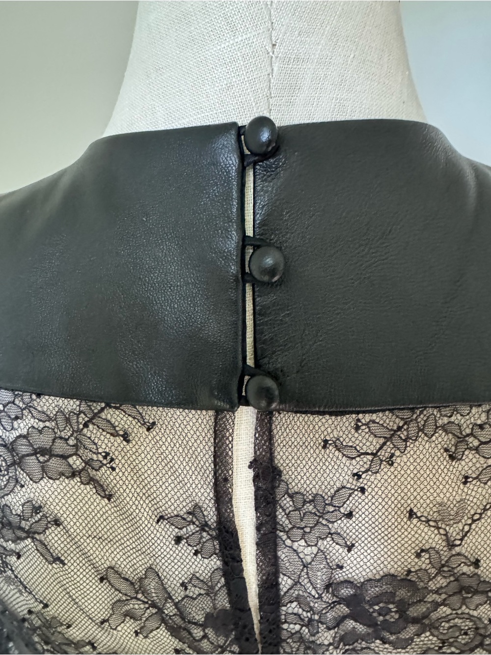 Catherine Deane Lace Leather Silk Dress 12 - Picture 6 of 11